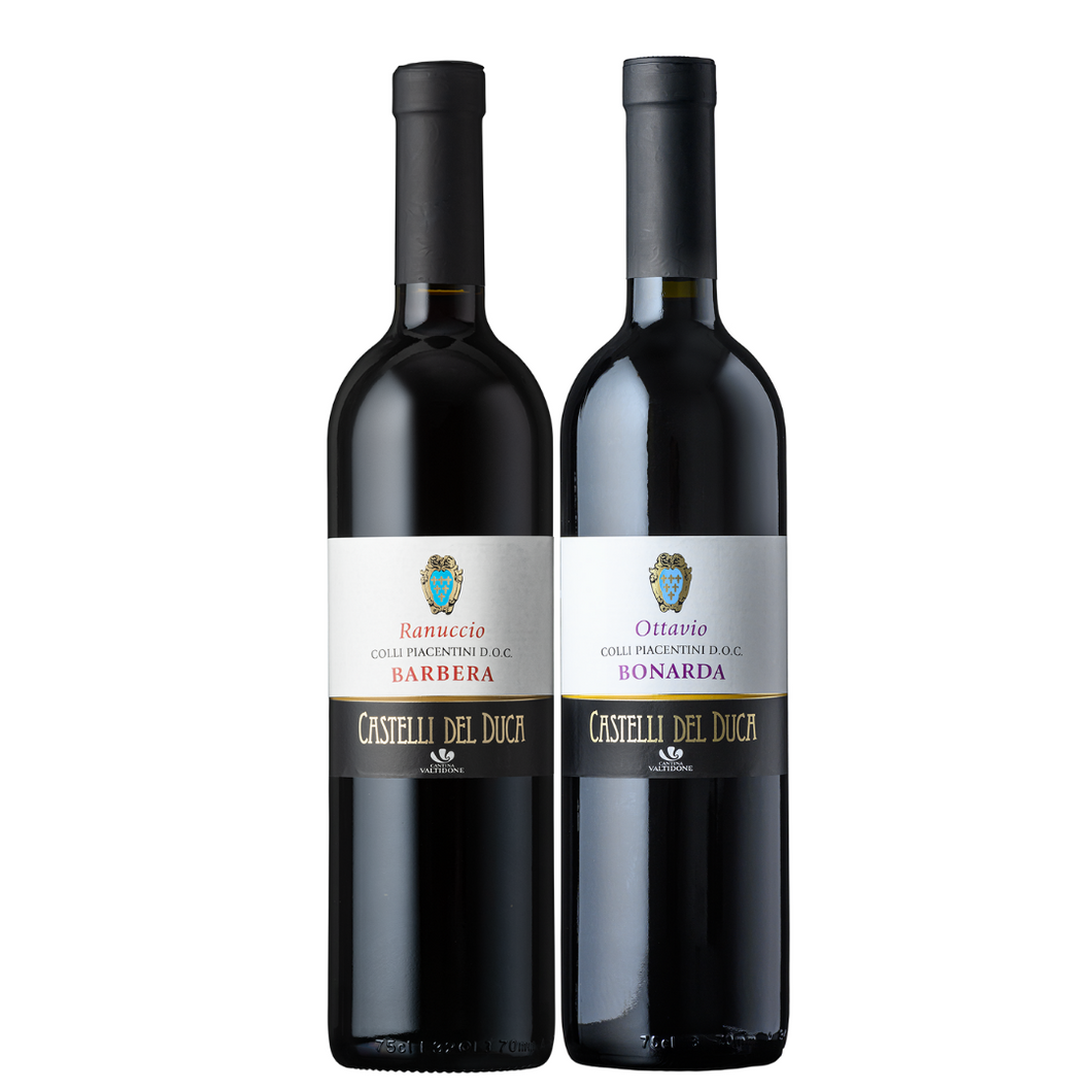 *Shipping included* Prestigious Medici family's red wines 2 bottles set